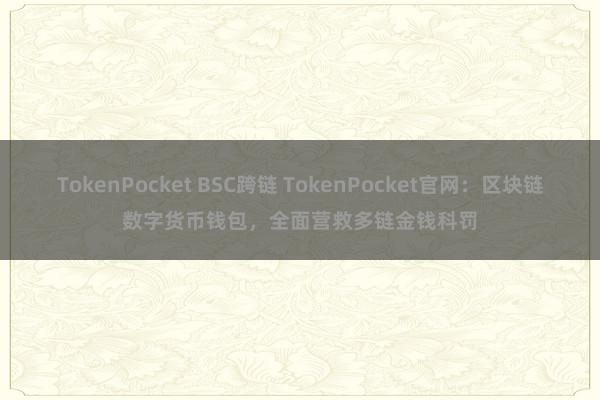 TokenPocket BSC跨链 TokenPocket官网：区块链数字货币钱包，全面营救多链金钱科罚