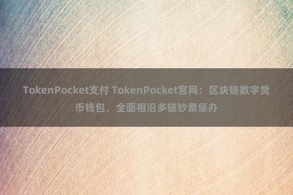 TokenPocket支付 TokenPocket官网：区块链数字货币钱包，全面相沿多链钞票惩办