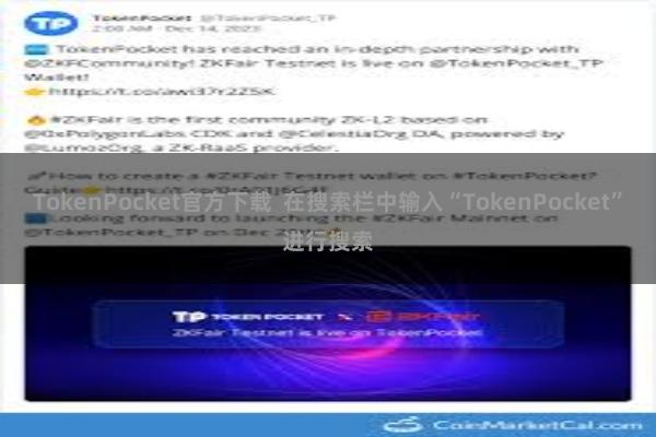 TokenPocket官方下载  在搜索栏中输入“TokenPocket”进行搜索